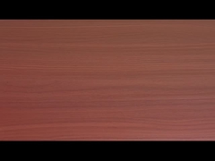 トマト牛肉の味のバーミケッリとインスタントヌードルOEM受容